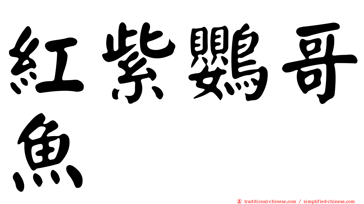 紅紫鸚哥魚