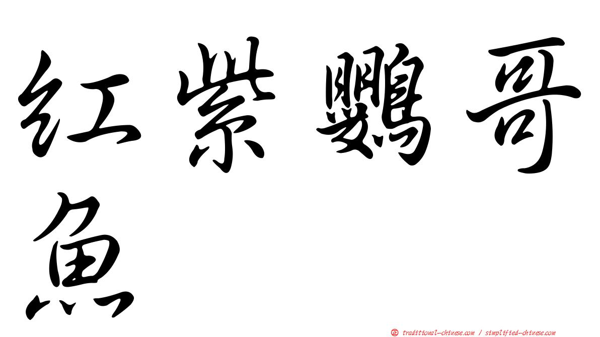 紅紫鸚哥魚