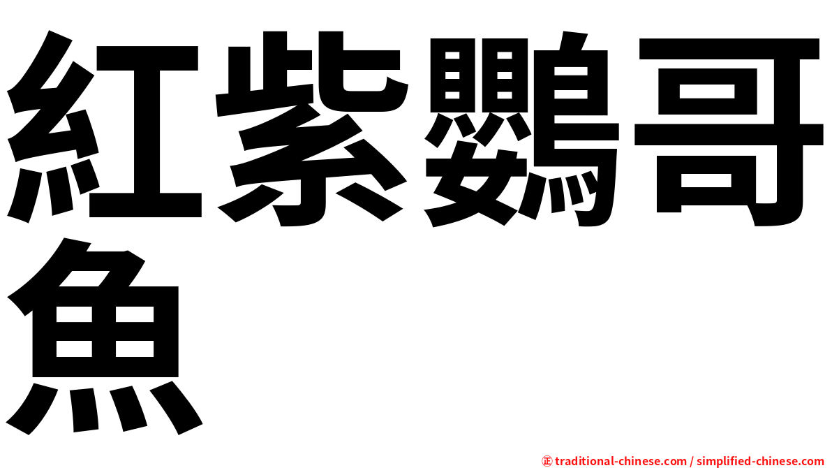 紅紫鸚哥魚