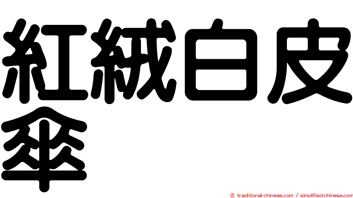 紅絨白皮傘