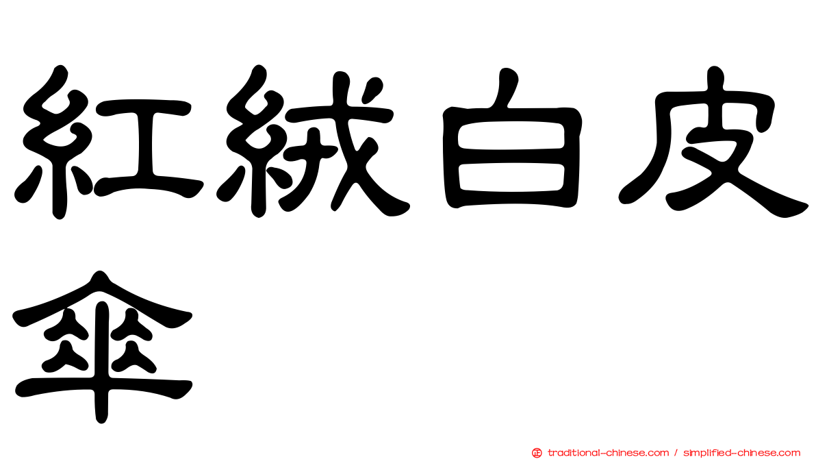 紅絨白皮傘