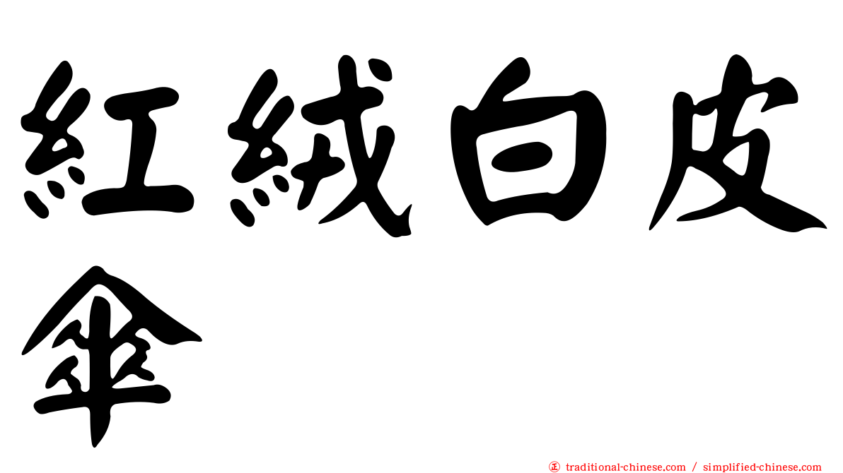 紅絨白皮傘