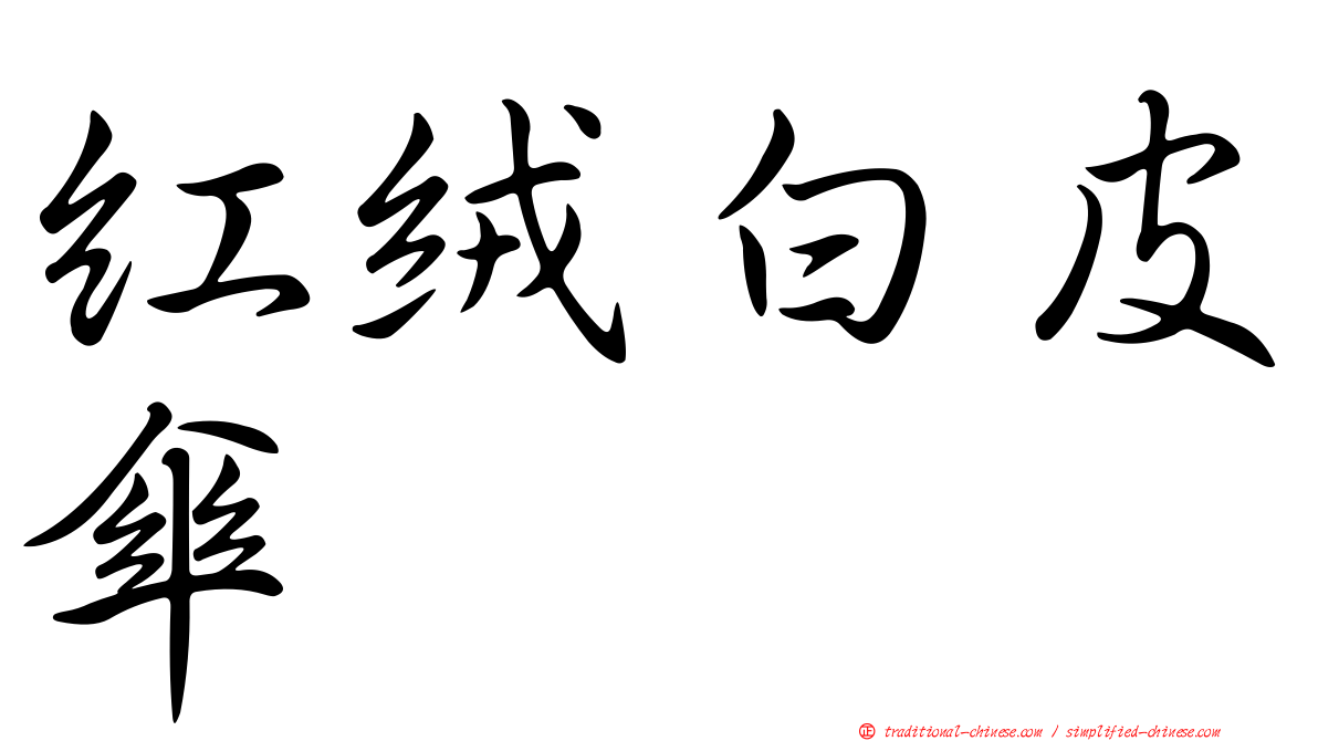 紅絨白皮傘