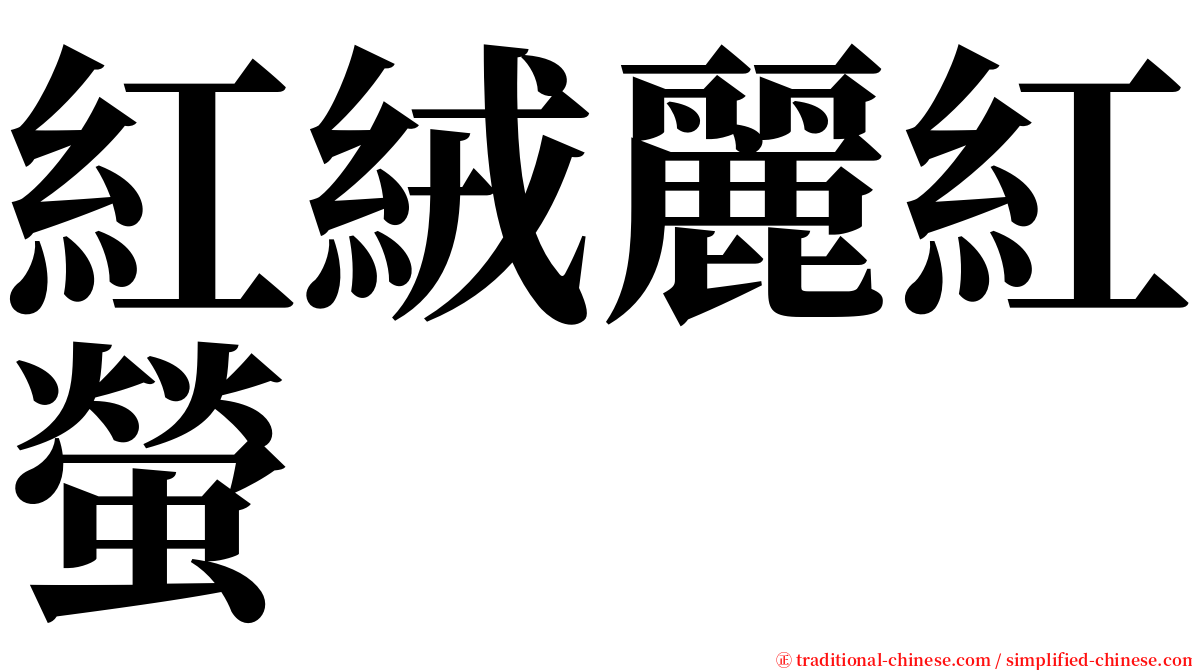 紅絨麗紅螢 serif font