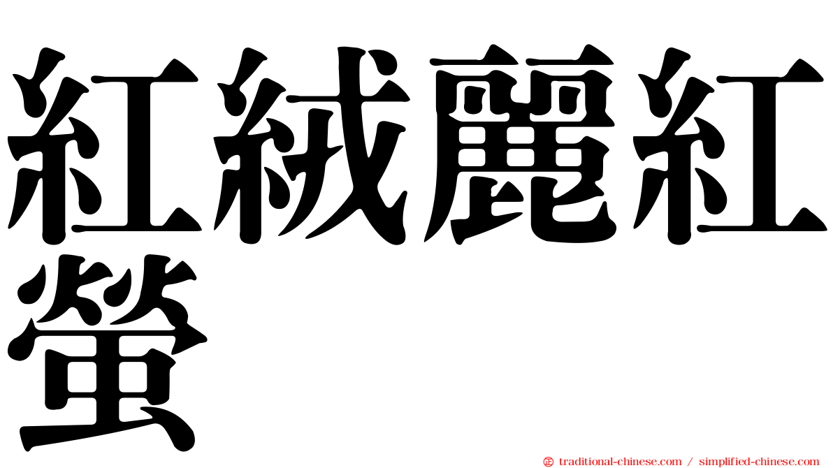 紅絨麗紅螢