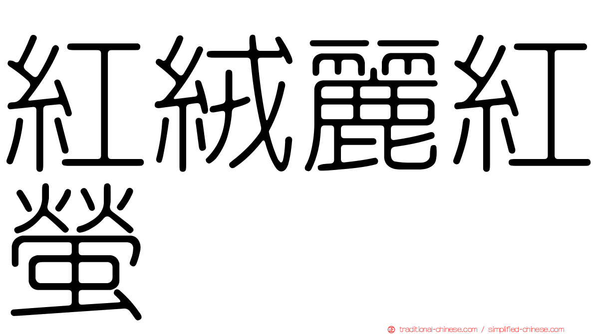 紅絨麗紅螢