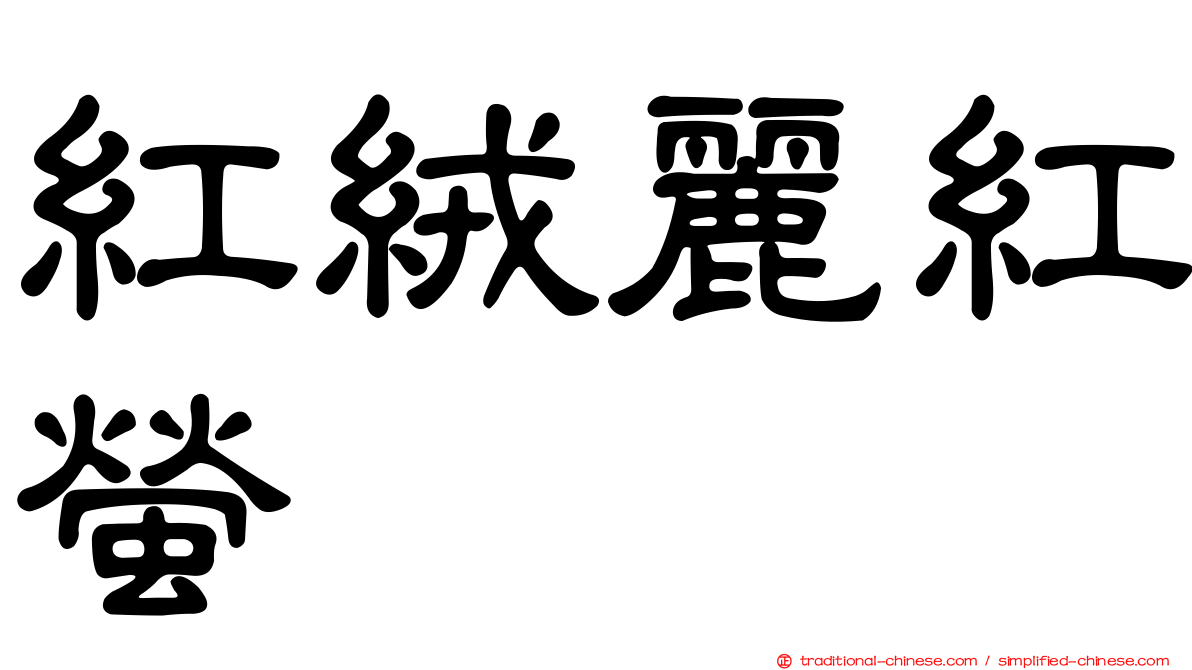 紅絨麗紅螢