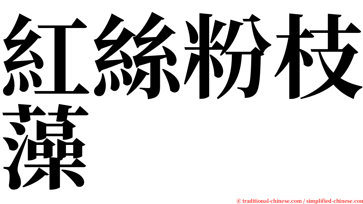 紅絲粉枝藻 serif font