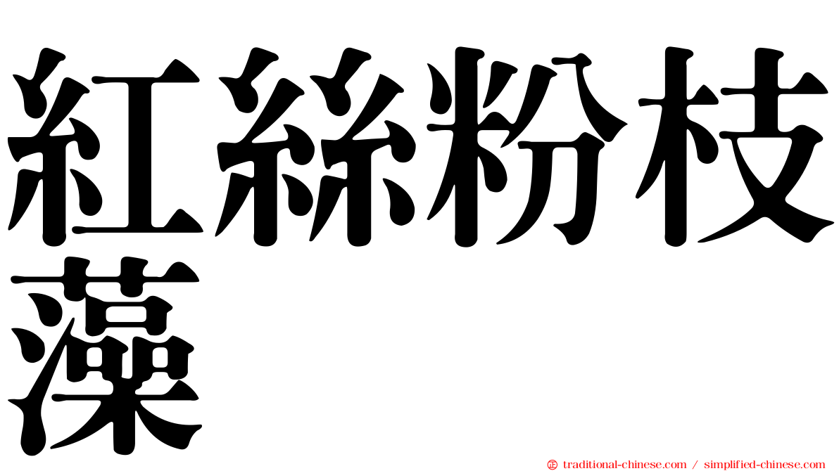 紅絲粉枝藻
