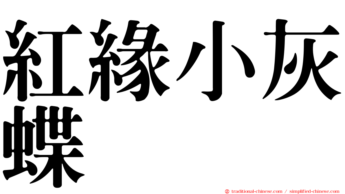 紅緣小灰蝶