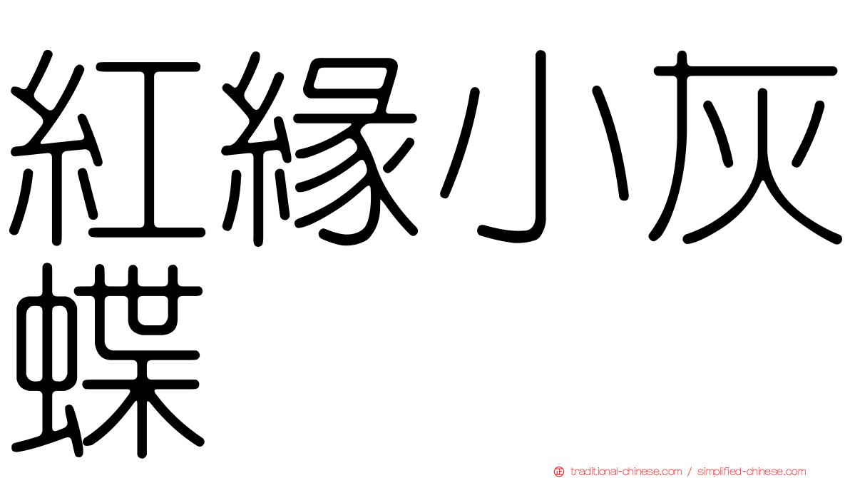 紅緣小灰蝶