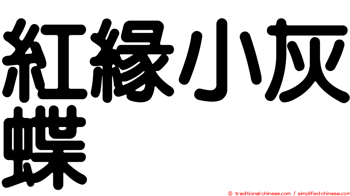 紅緣小灰蝶