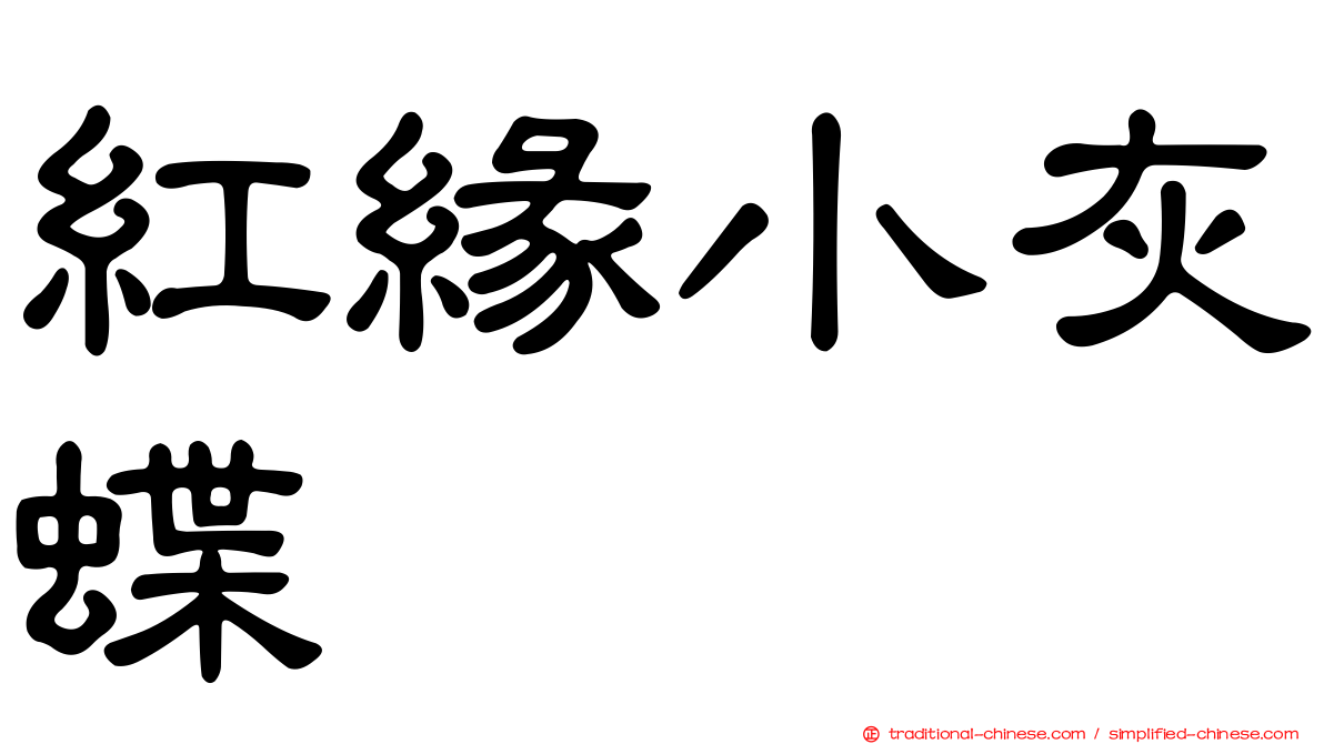 紅緣小灰蝶