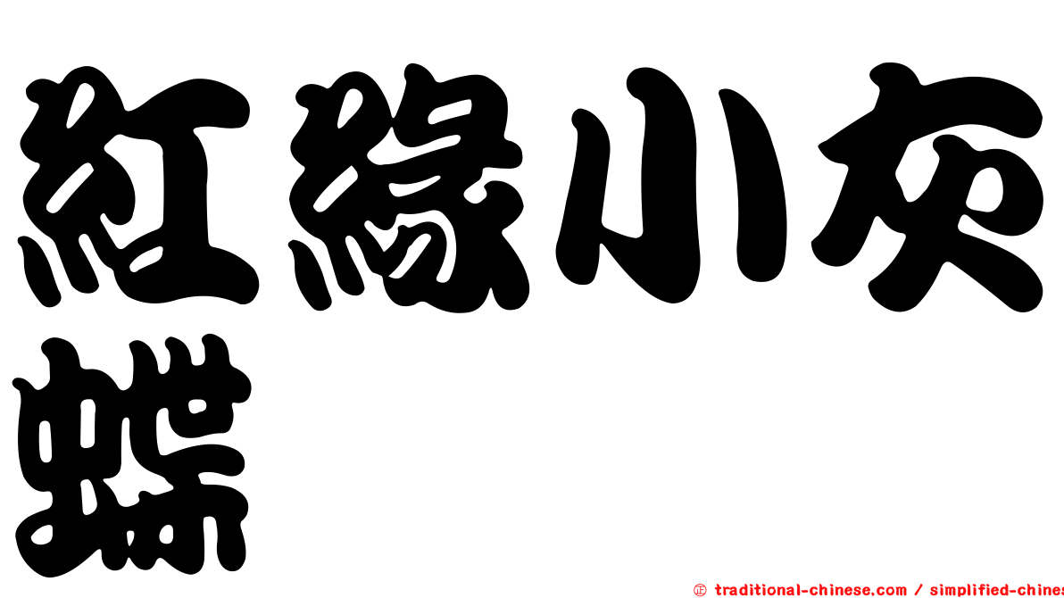 紅緣小灰蝶
