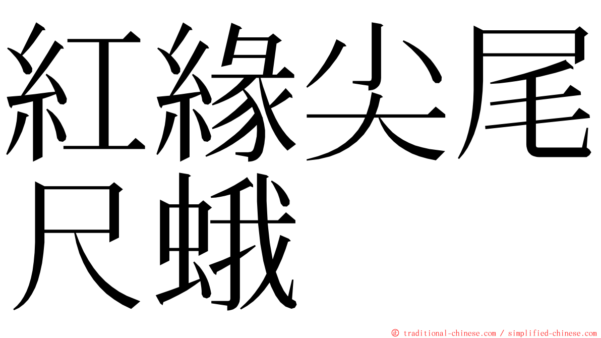 紅緣尖尾尺蛾 ming font