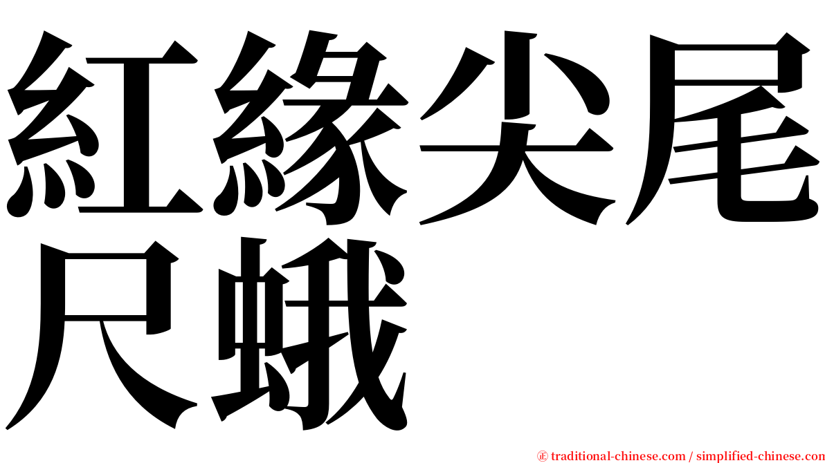 紅緣尖尾尺蛾 serif font
