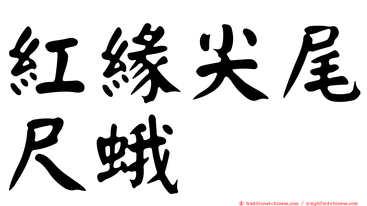 紅緣尖尾尺蛾