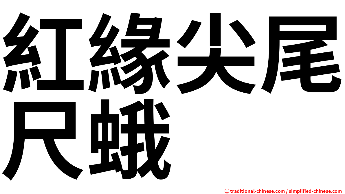 紅緣尖尾尺蛾