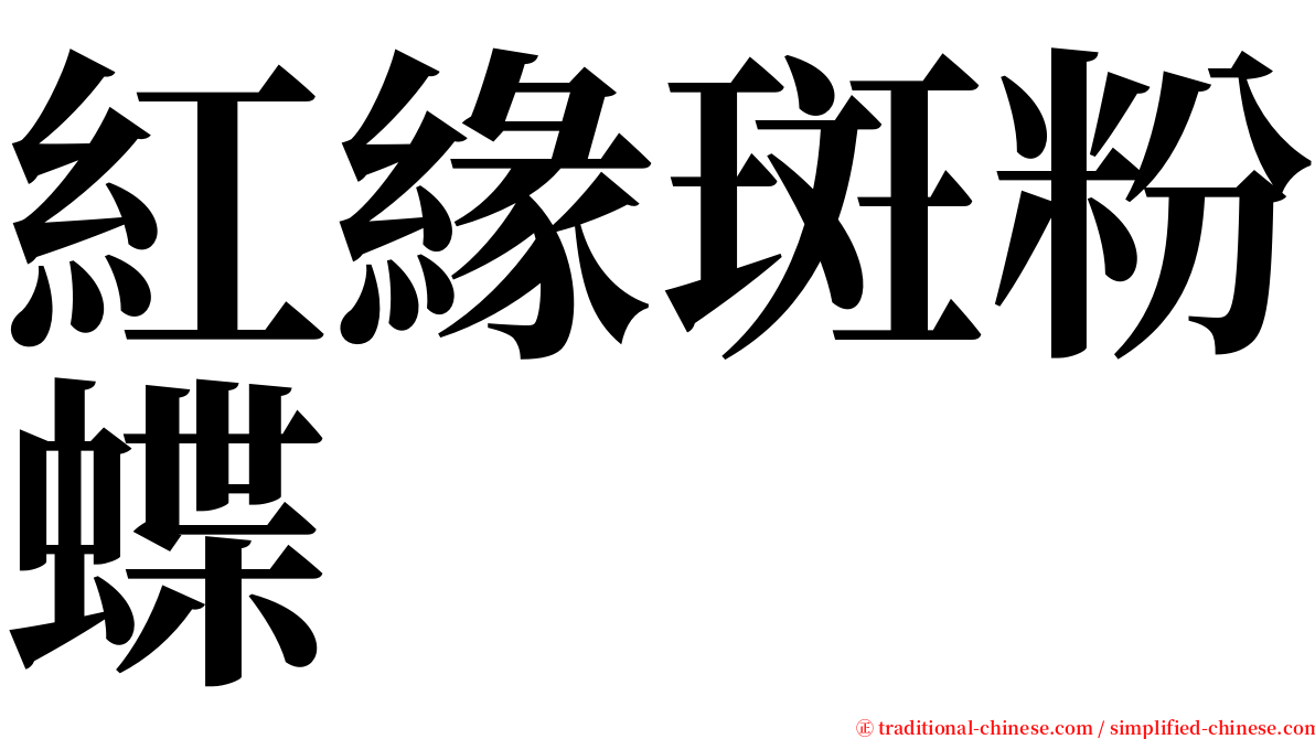 紅緣斑粉蝶 serif font
