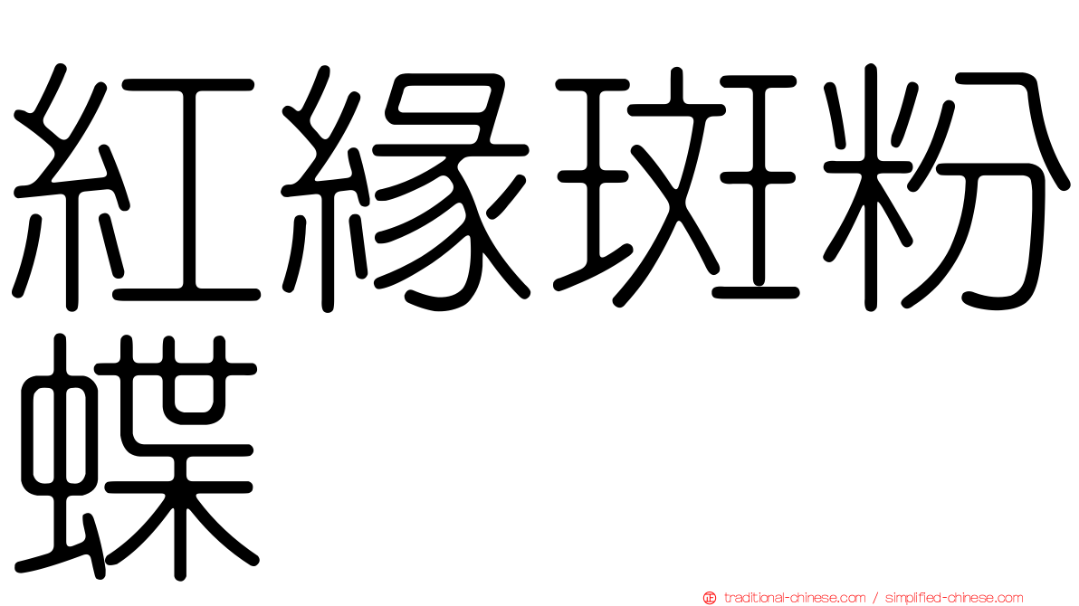 紅緣斑粉蝶