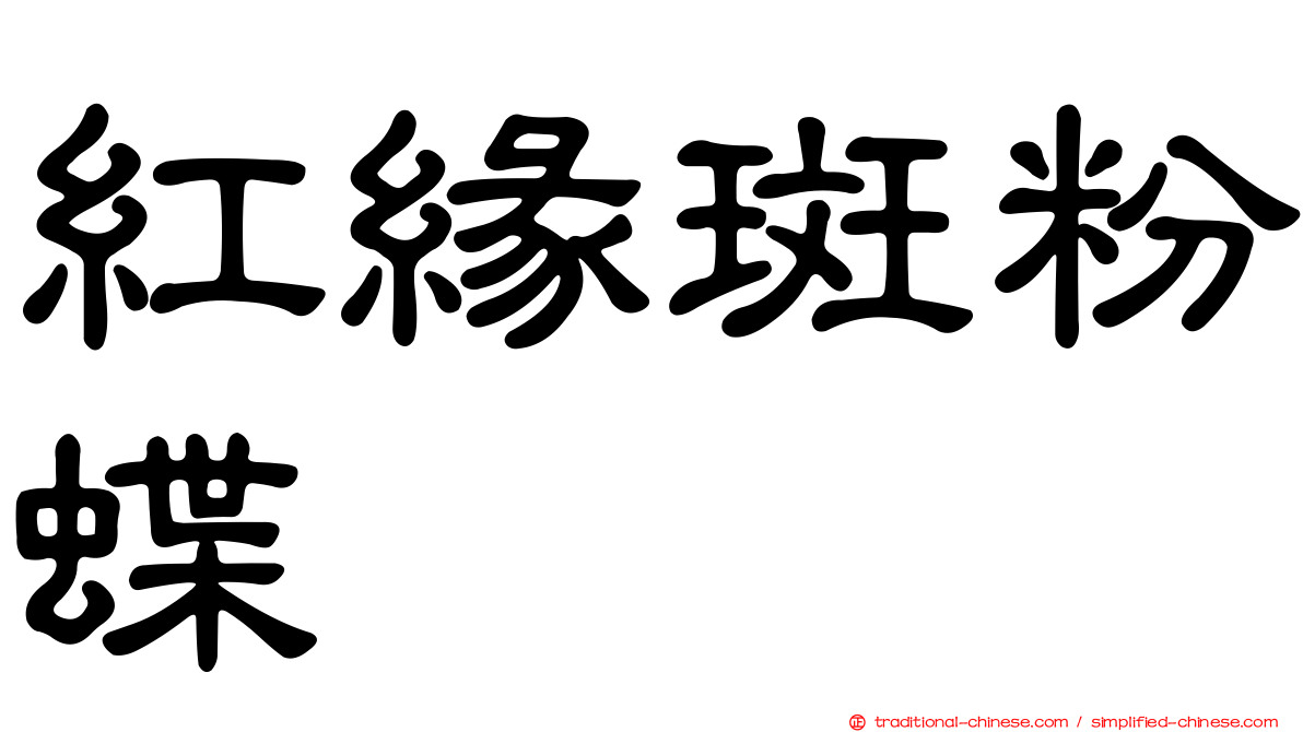 紅緣斑粉蝶