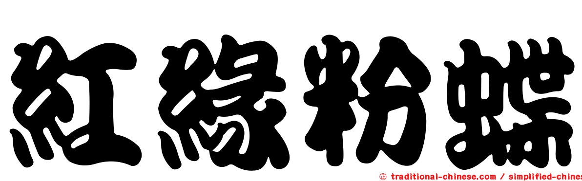 紅緣粉蝶
