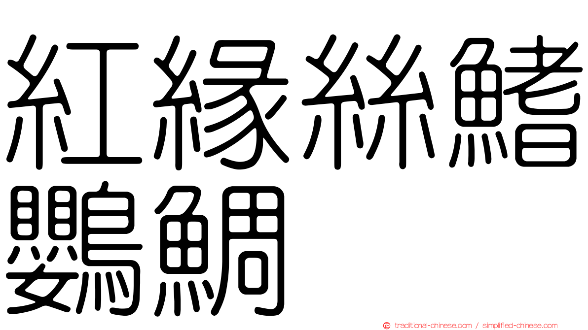 紅緣絲鰭鸚鯛