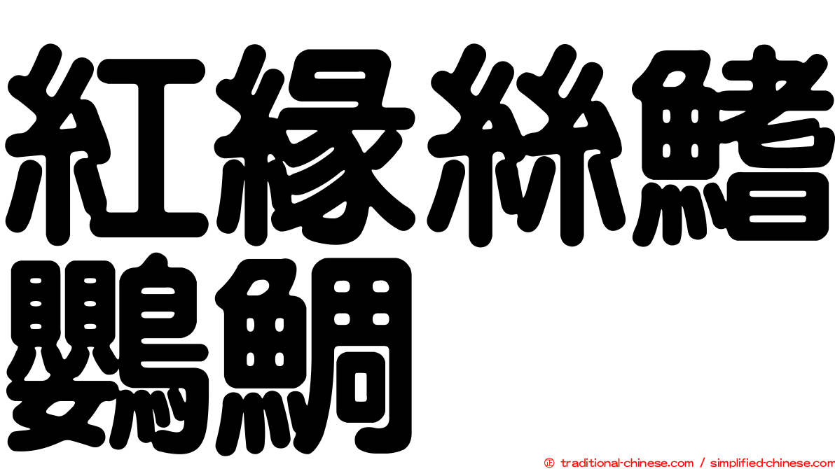 紅緣絲鰭鸚鯛