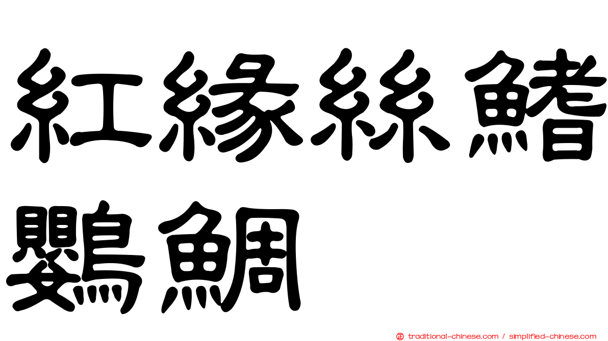 紅緣絲鰭鸚鯛