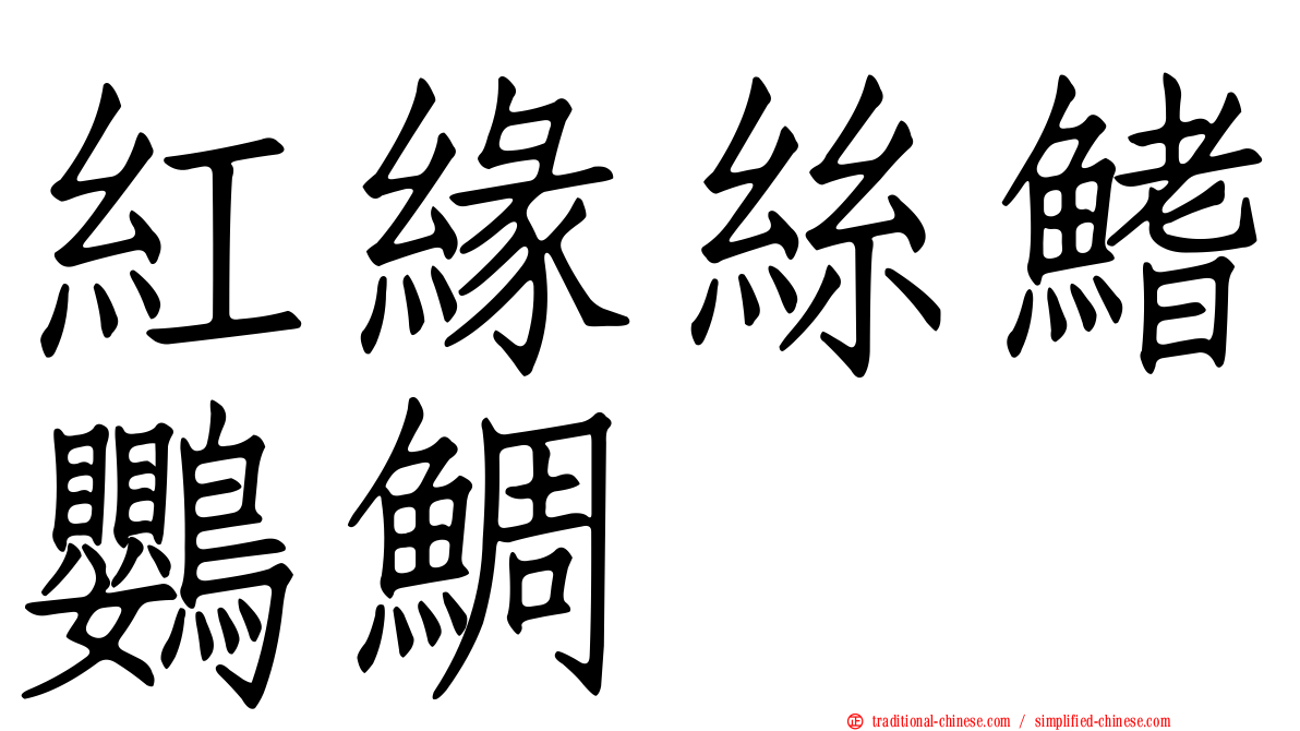 紅緣絲鰭鸚鯛