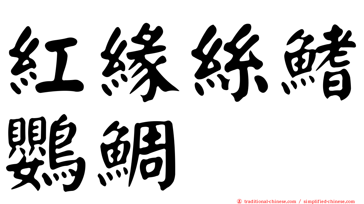 紅緣絲鰭鸚鯛