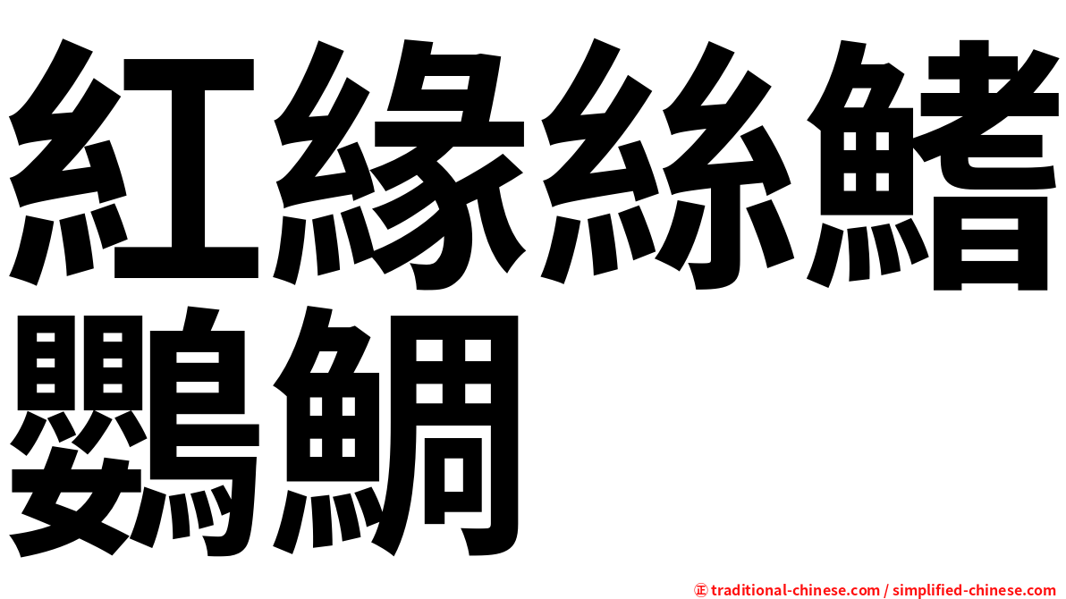 紅緣絲鰭鸚鯛