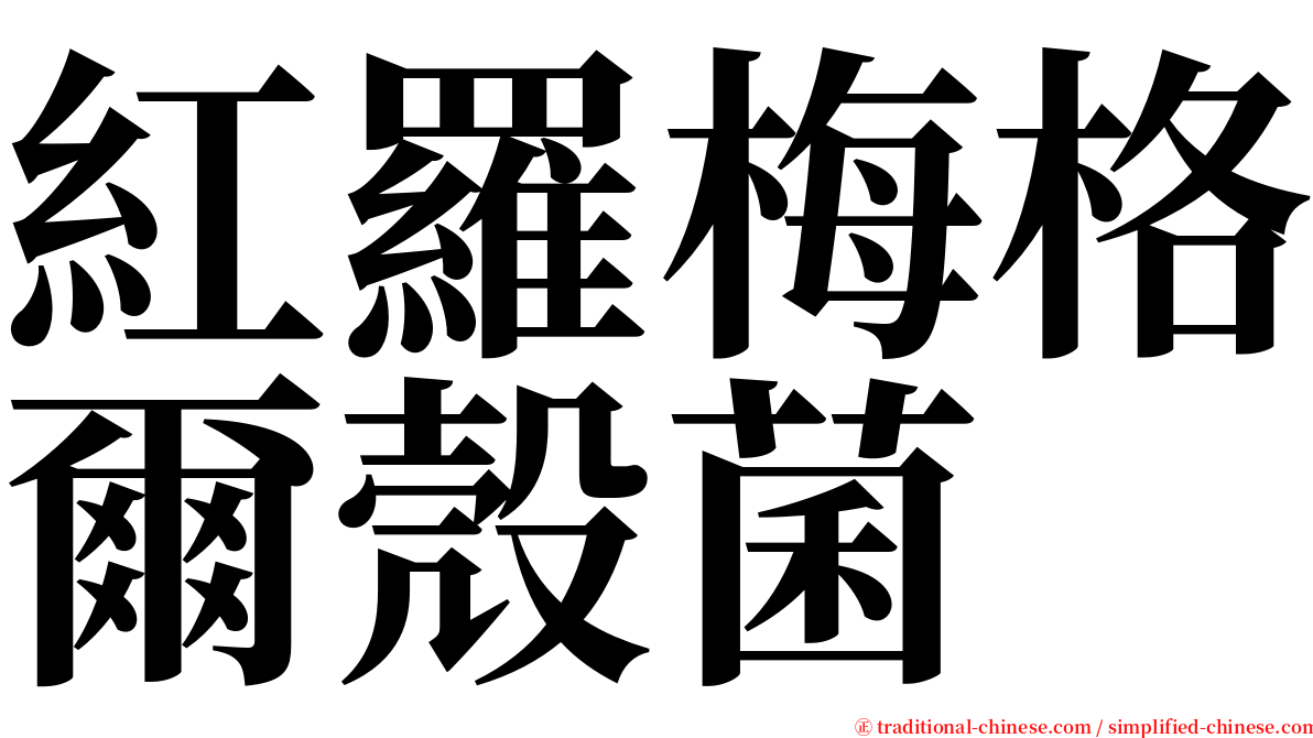 紅羅梅格爾殼菌 serif font