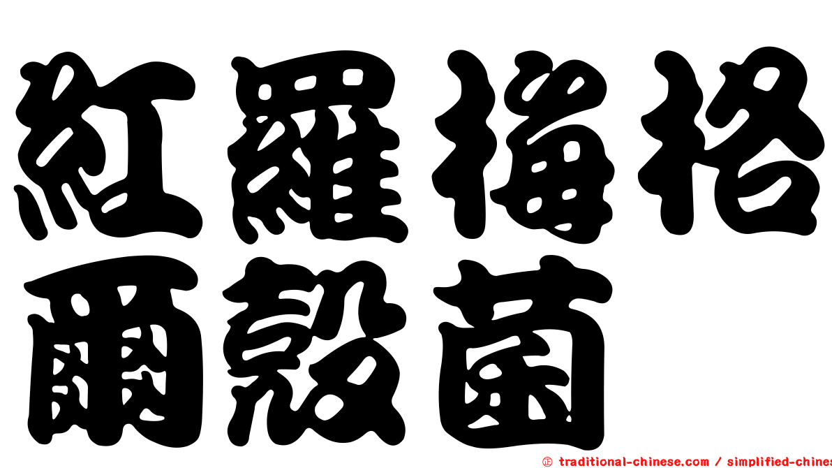紅羅梅格爾殼菌