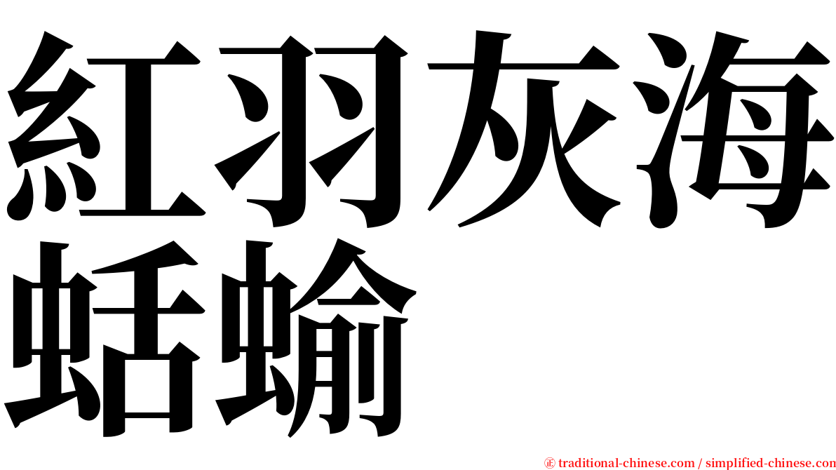 紅羽灰海蛞蝓 serif font