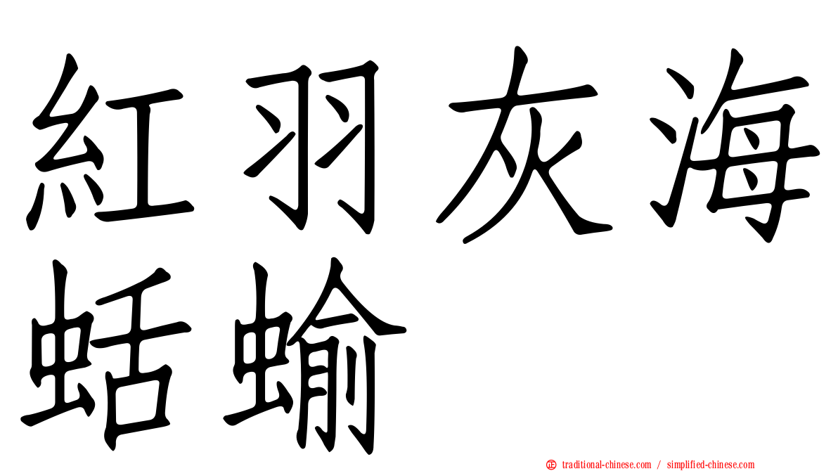 紅羽灰海蛞蝓