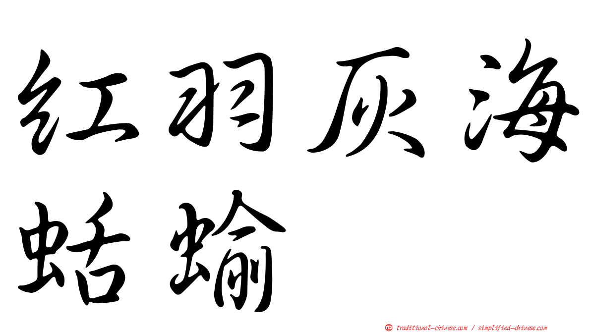 紅羽灰海蛞蝓