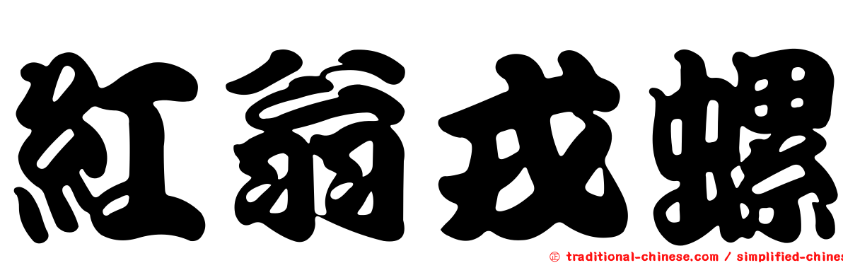紅翁戎螺