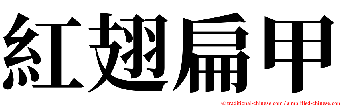 紅翅扁甲 serif font
