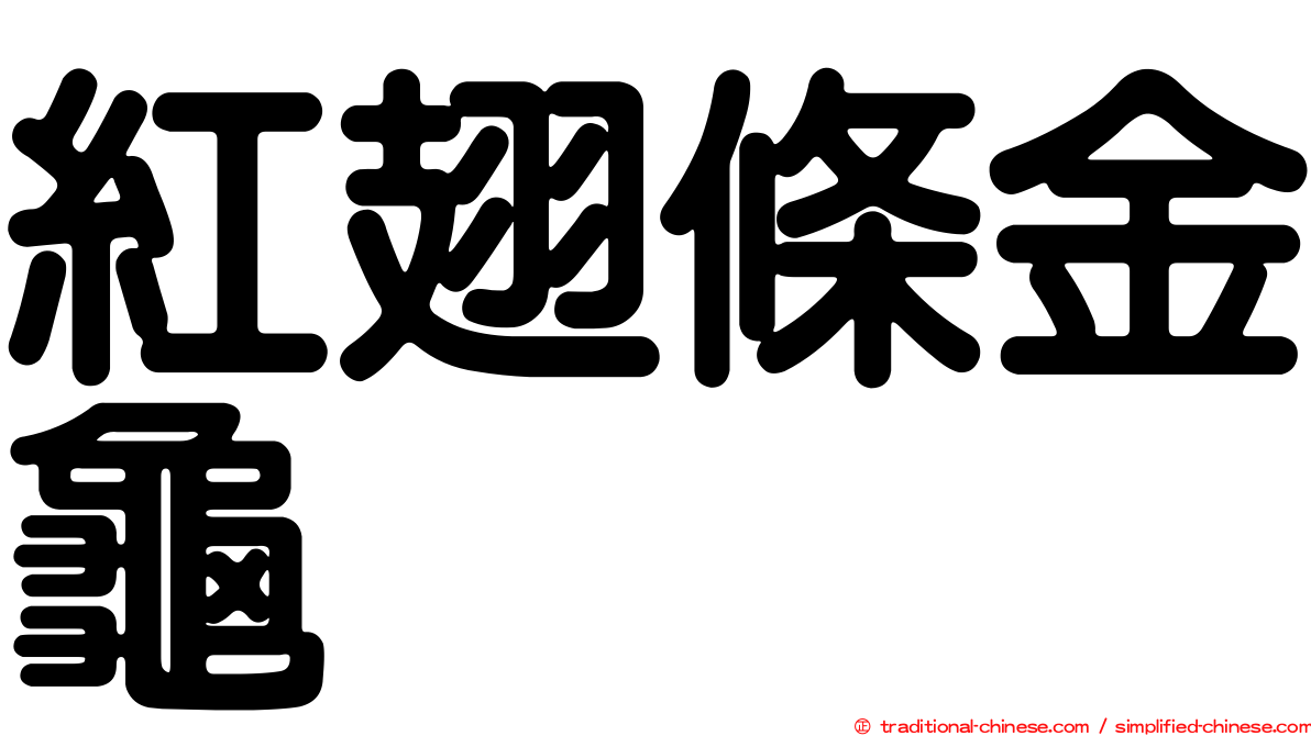 紅翅條金龜