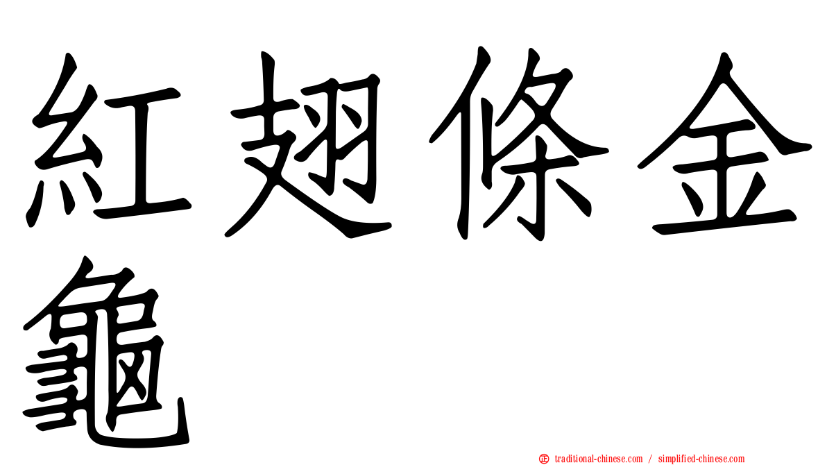 紅翅條金龜