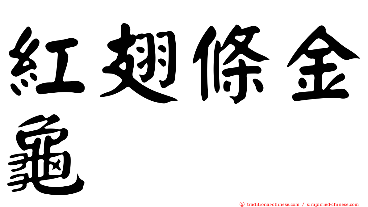 紅翅條金龜