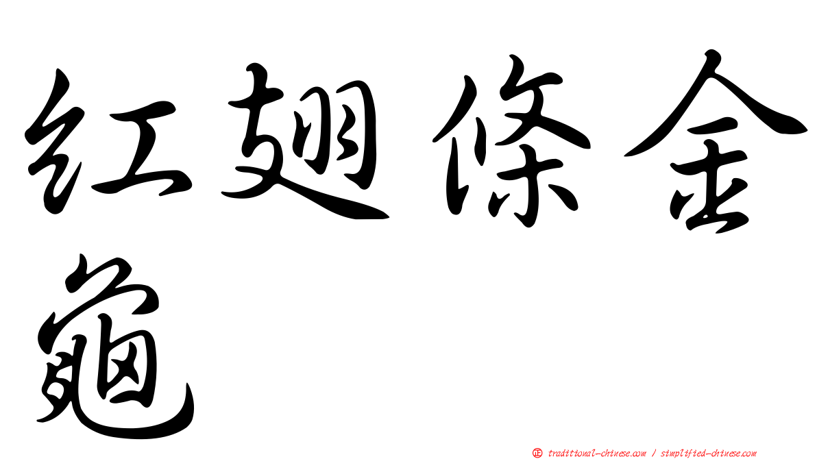 紅翅條金龜