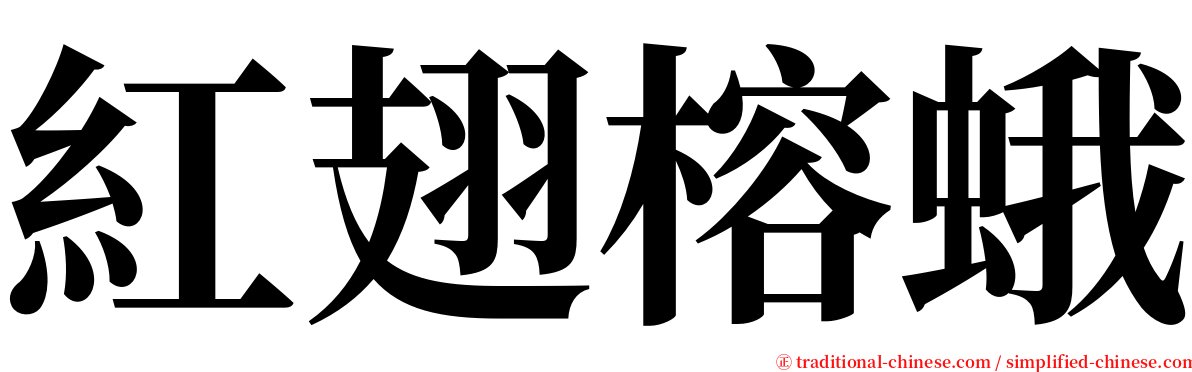 紅翅榕蛾 serif font