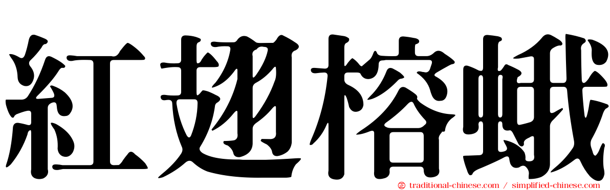 紅翅榕蛾