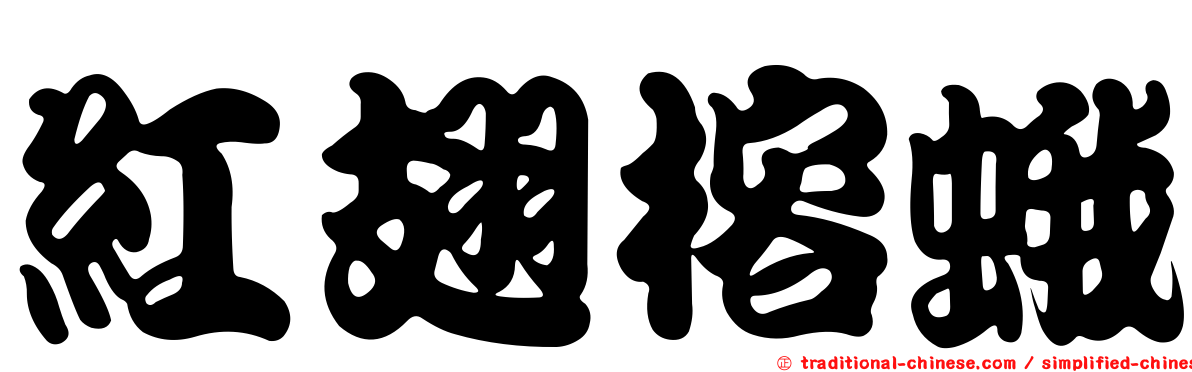 紅翅榕蛾