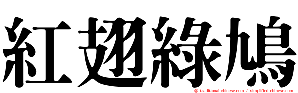 紅翅綠鳩