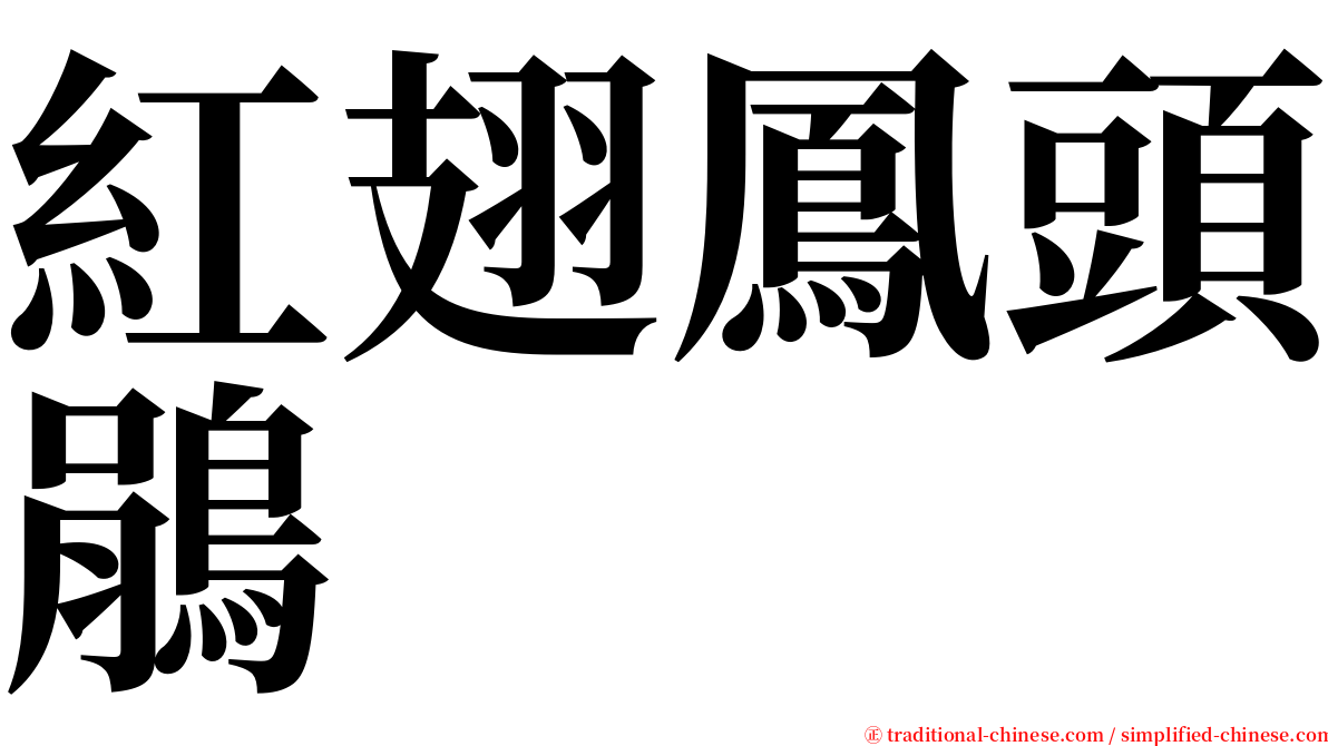 紅翅鳳頭鵑 serif font