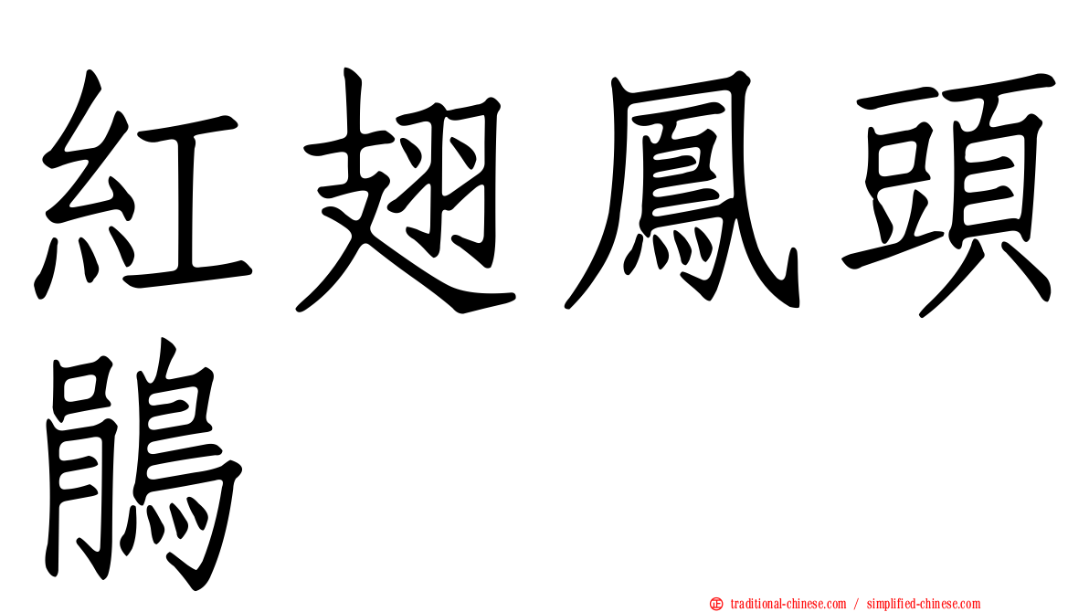 紅翅鳳頭鵑