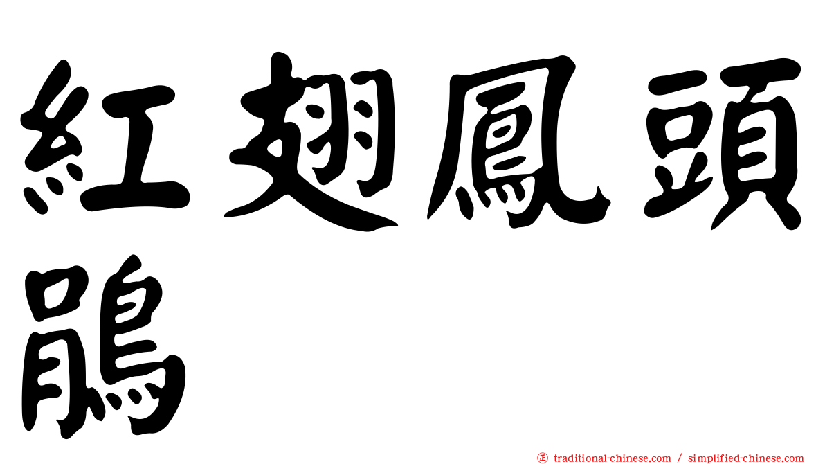 紅翅鳳頭鵑